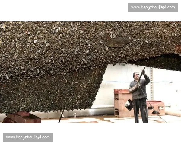 深海作业直击！第一视角体验船舶藤壶清理的硬核挑战